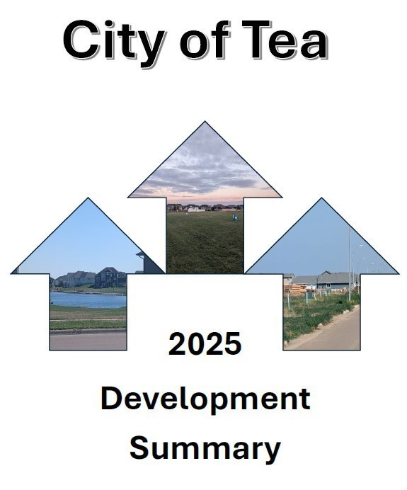 Tea 2025 Development Summary Cover